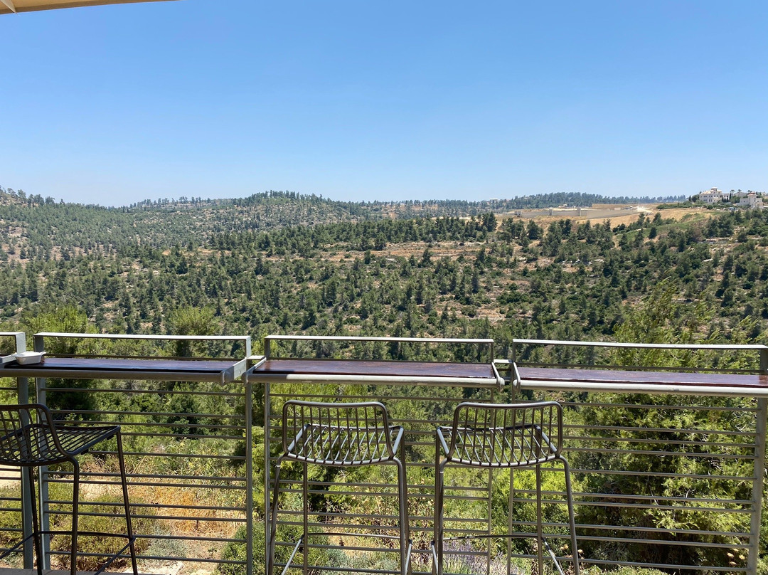 Domaine du Castel Winery-Yad Hashmona必去景点