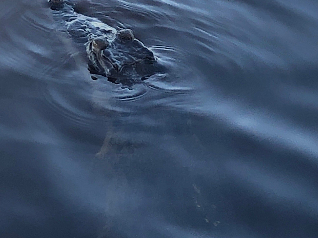 Corroboree Billabong-Marrakai必去景点