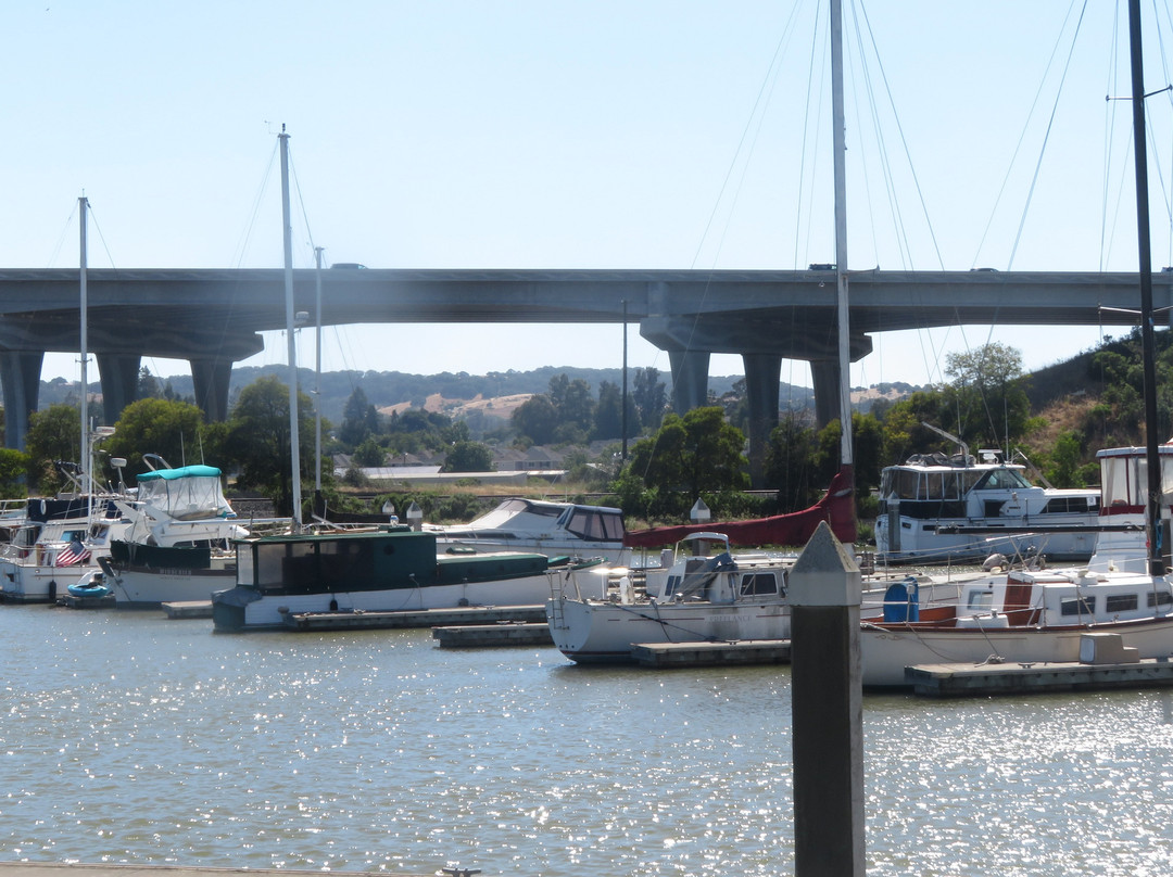 Marina and Turning Basin-佩塔卢马必去景点