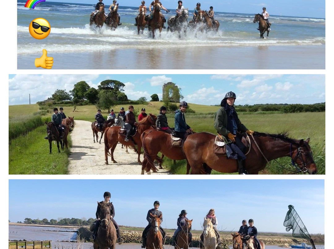 Centre de Tourisme Equestre de St Vivien景点图片