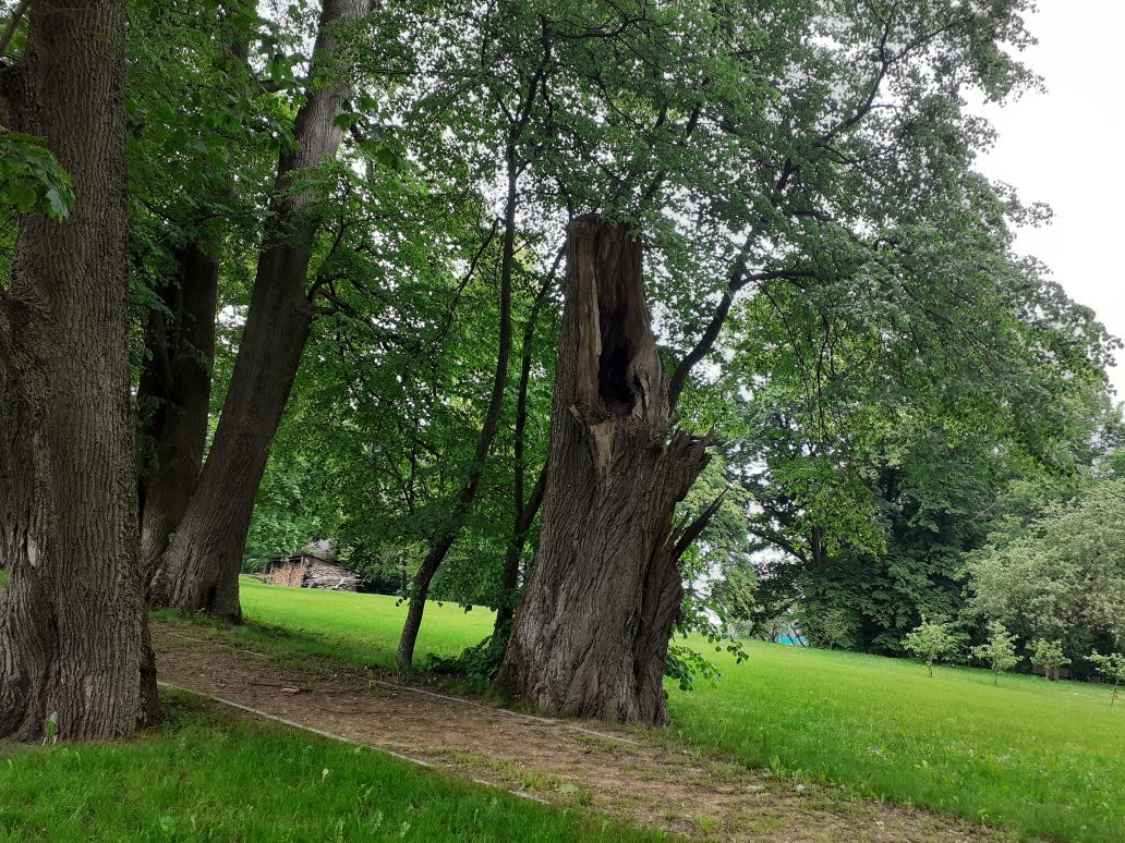 Park Kulturowy Korycin - Milewszczyzna景点图片