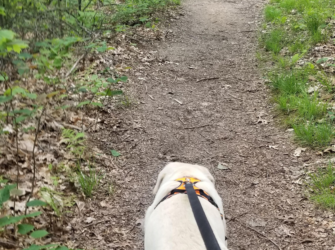 Bear Run Nature Reserve-Mill Run必去景点