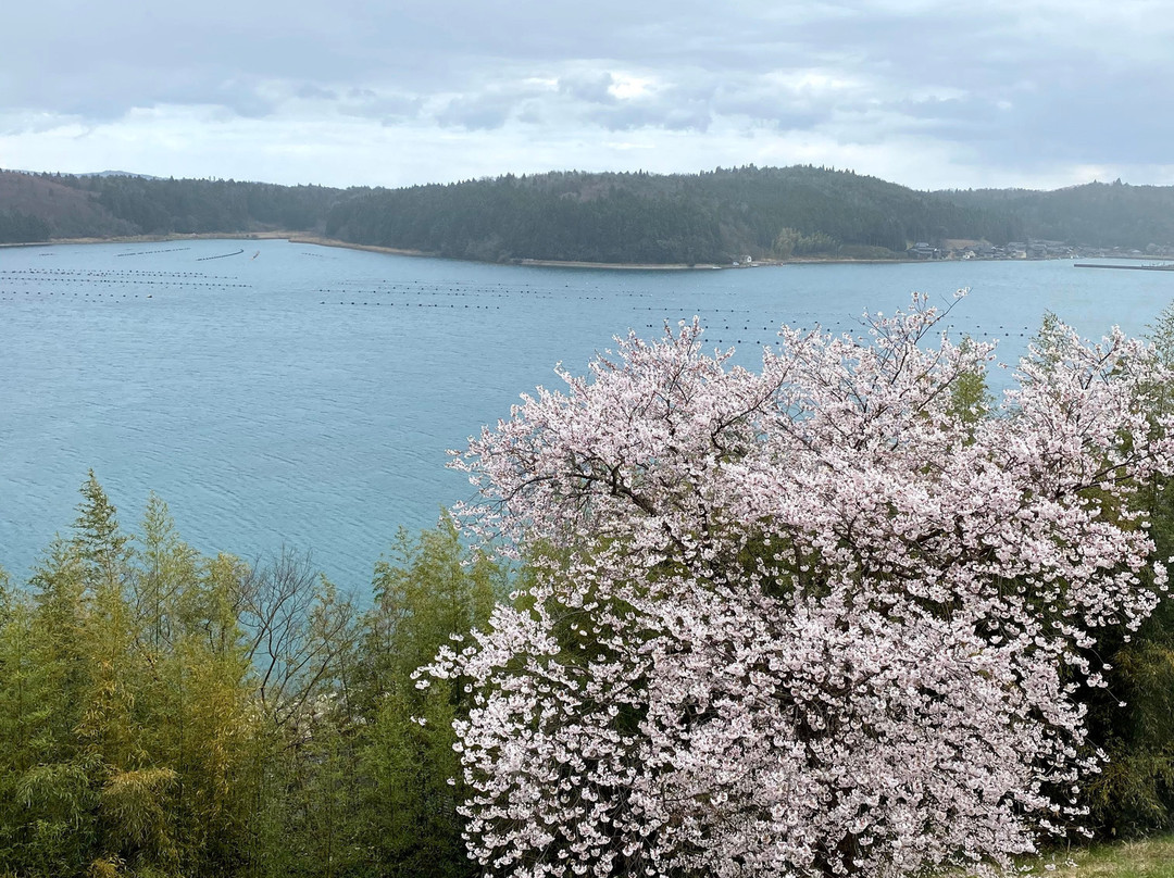 诺托奥玛奇代旅馆主图