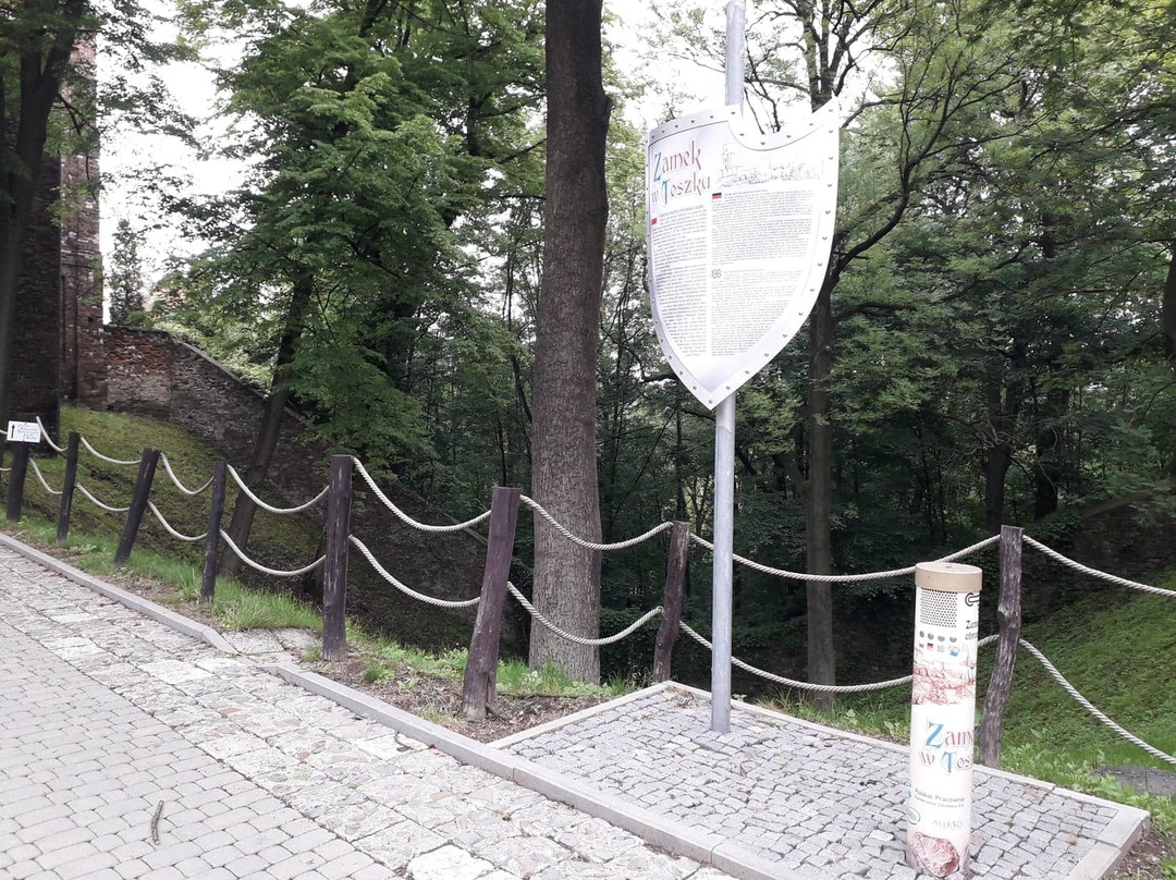 Toszek Castle-Toszek必去景点