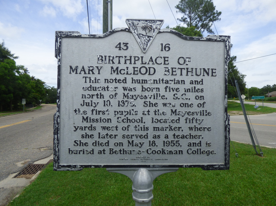 Dr. Mary McLeod Bethune Park景点图片