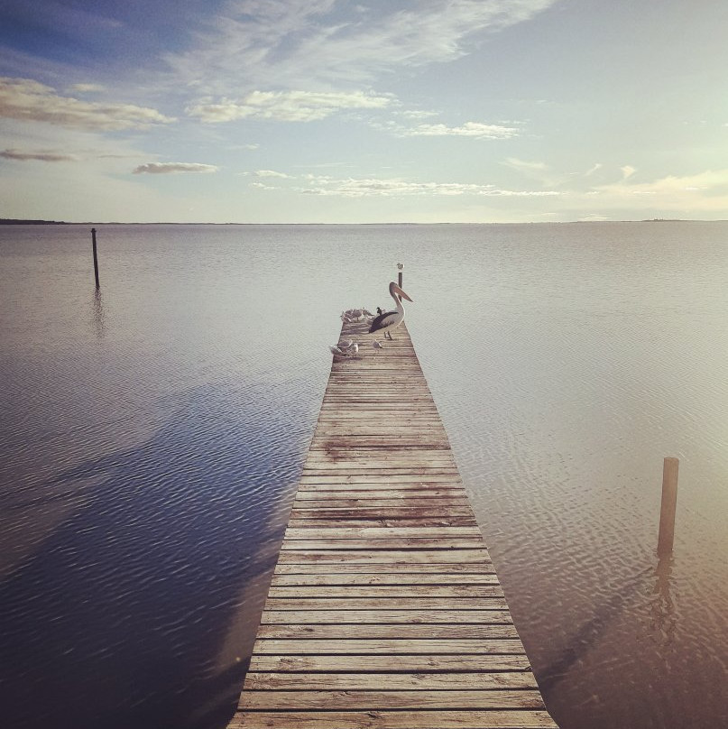 Meningie Waterfront Motel主图