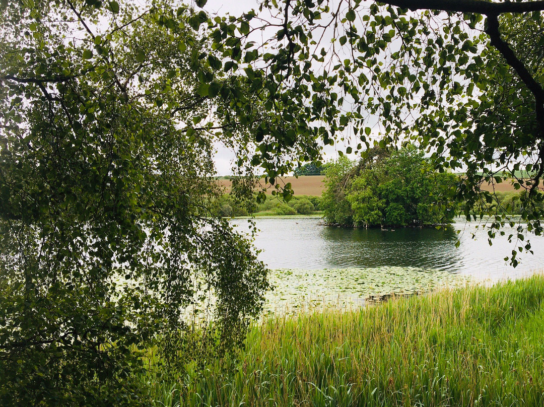 Balgavies Loch景点图片