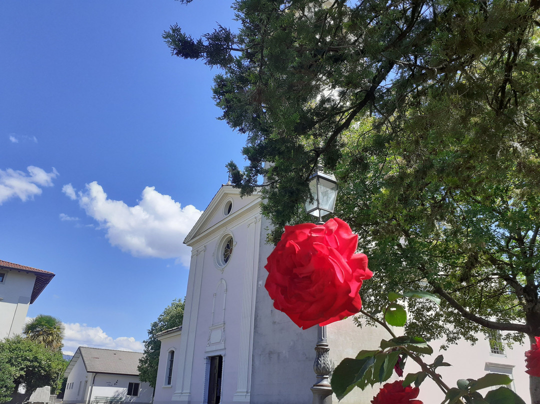 Chiesa di Santa Maria Assunta景点图片