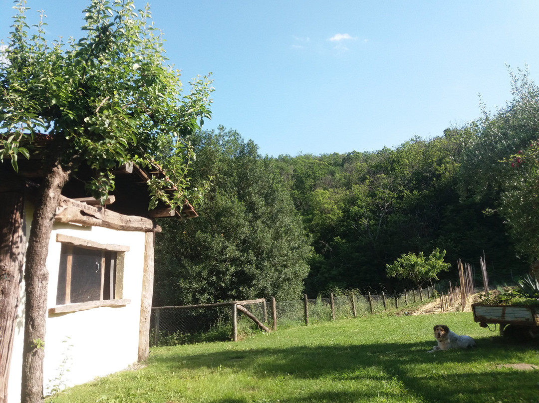 Agriturismo Ca del Lupo主图