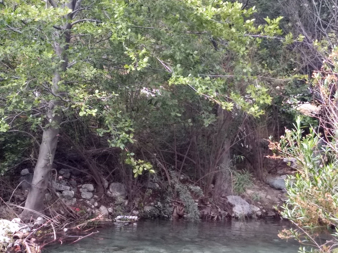 Lytle Creek Middle Fork Trail-Lytle Creek必去景点