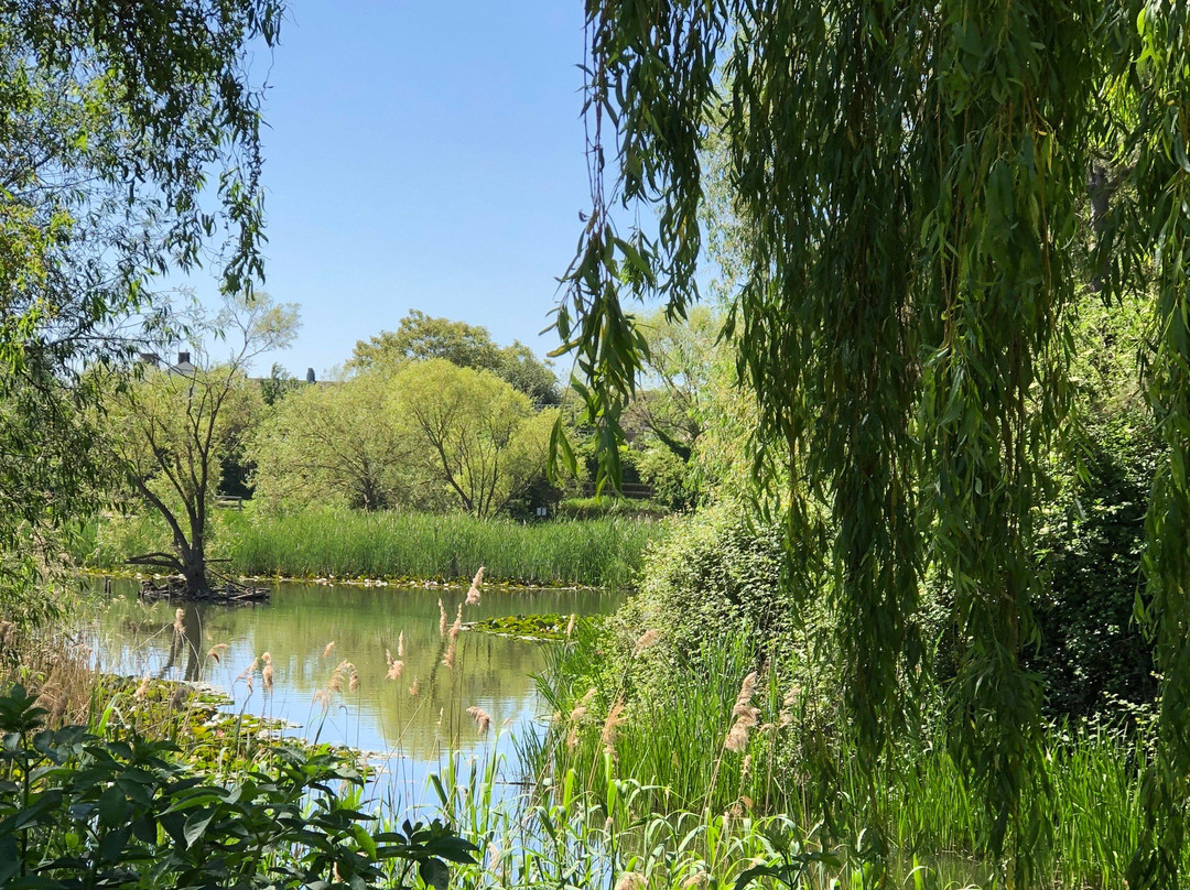 Shoebury Park景点图片
