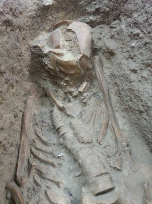 B&b Silver Sleep主图