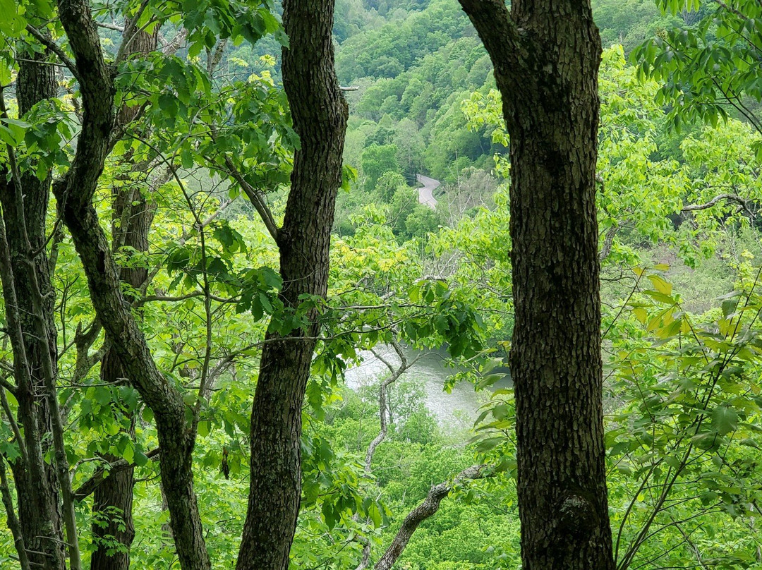 Tank Hollow Falls-Cleveland必去景点