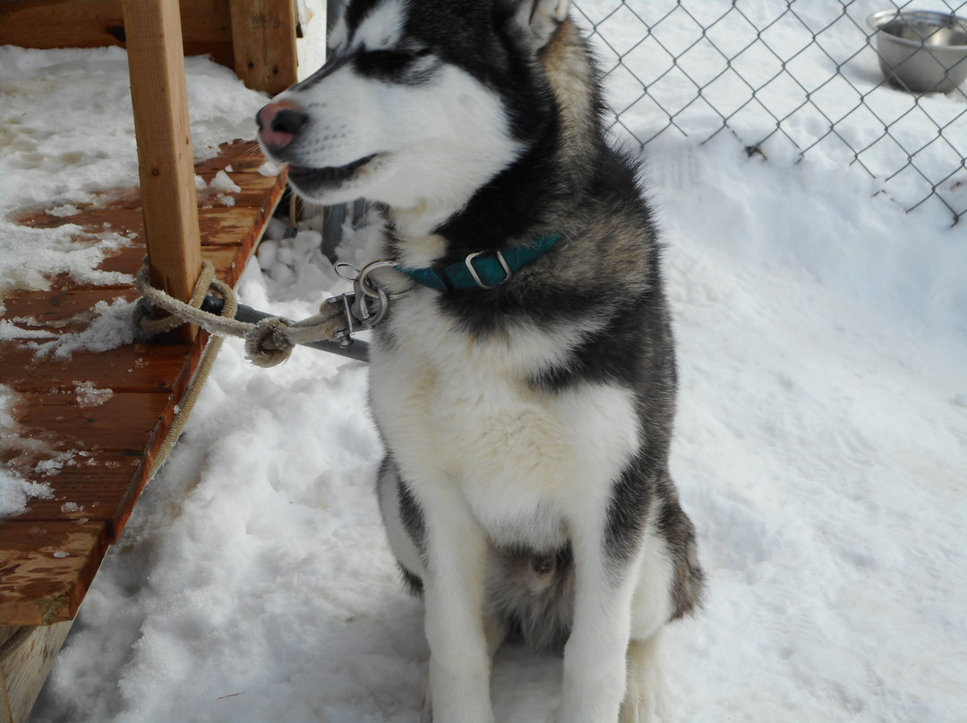 Pourvoirie du Lac Beauport-Lac-Beauport必去景点