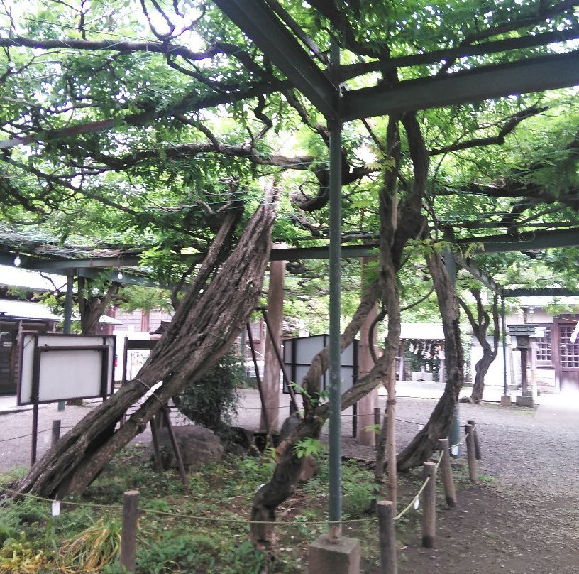 Kokuryo Shrine-调布市必去景点