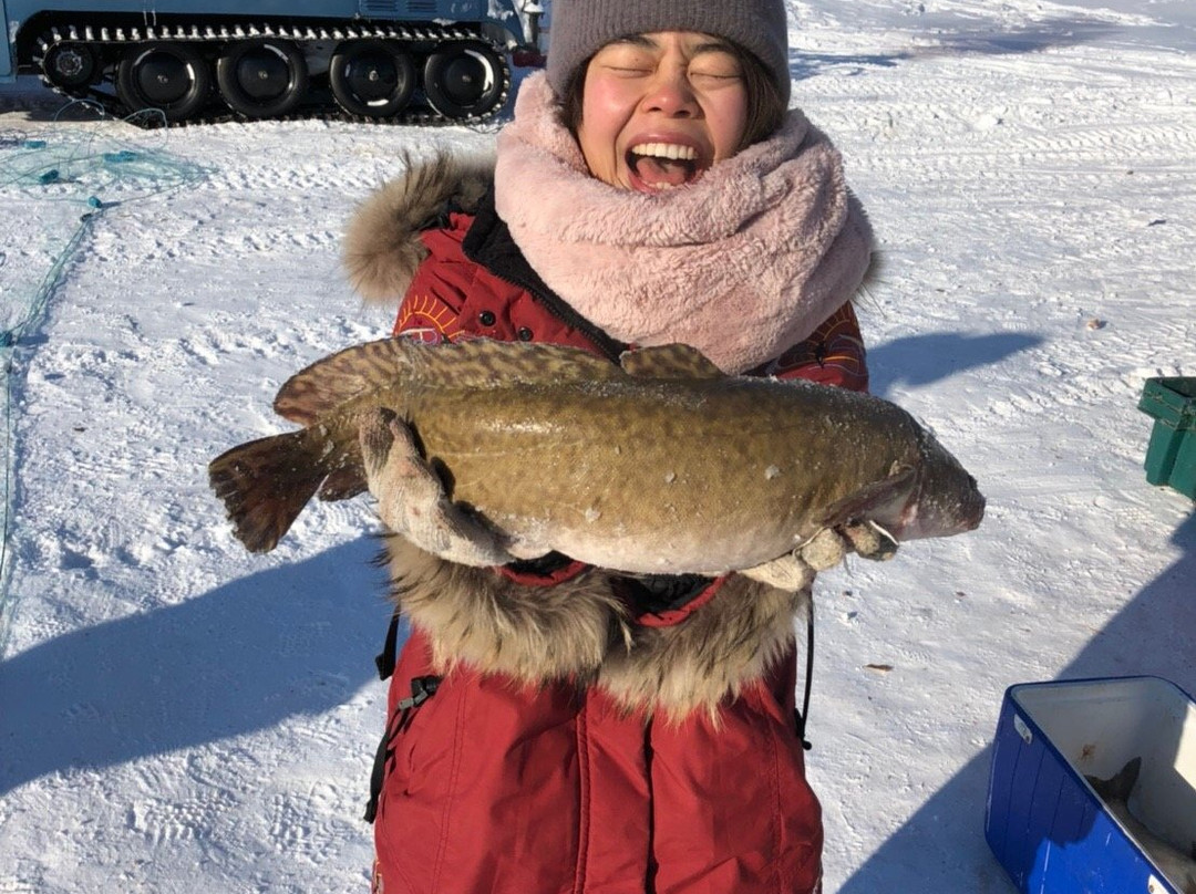 Great Slave Lake Tours-Hay River必去景点