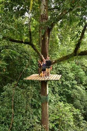 Canopy Safari景点图片