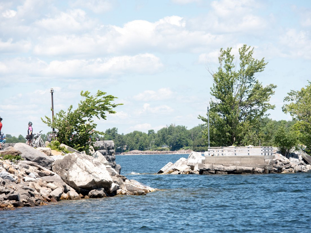 Local Motion-South Hero必去景点