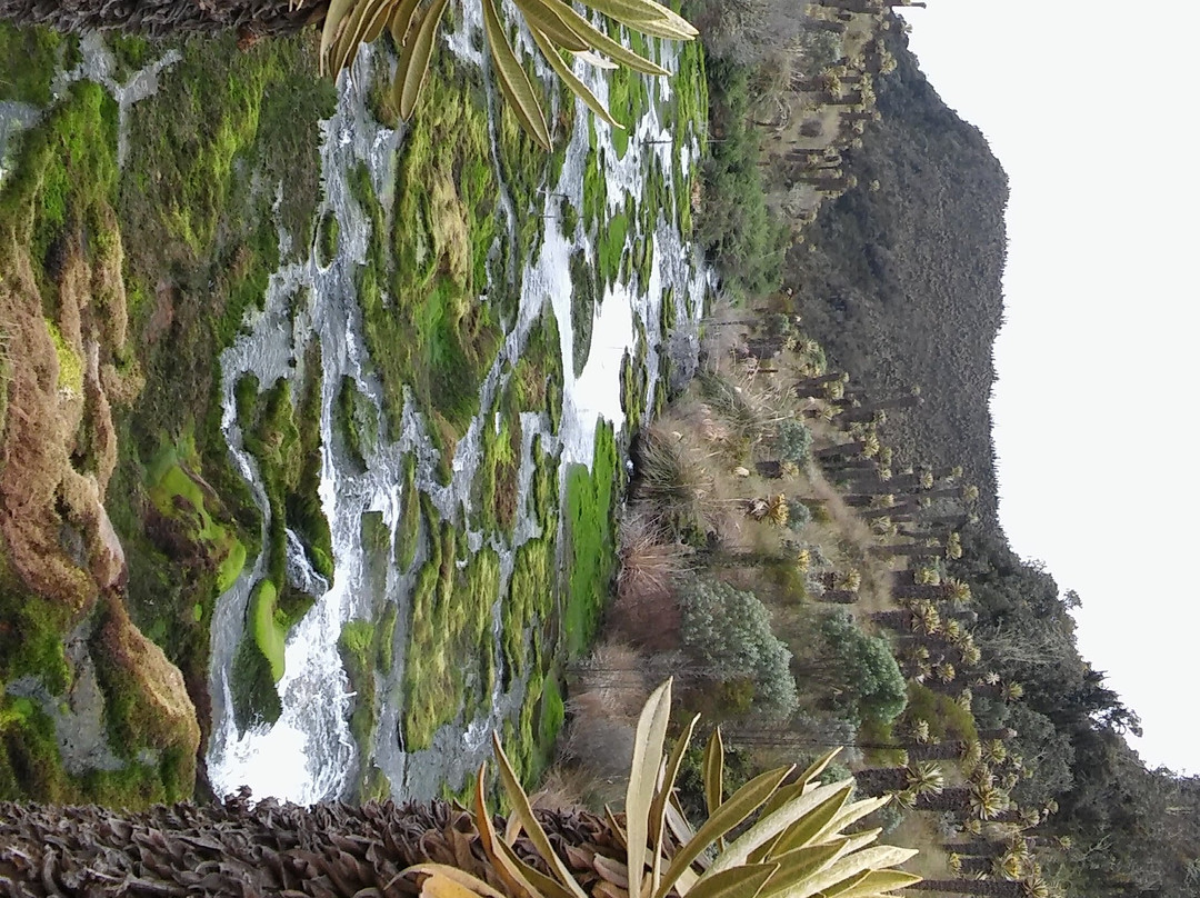 Termales la Cabana-Murillo必去景点