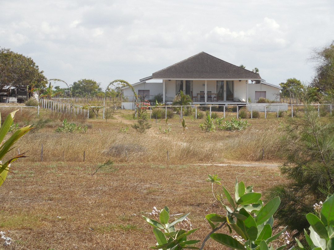 Wera Beach Resort主图