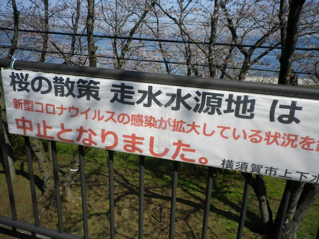 Yokosuka Hashirimizu Dam-横须贺市必去景点