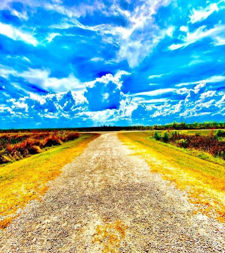 Sweetwater Wetlands Park-盖恩斯维尔必去景点