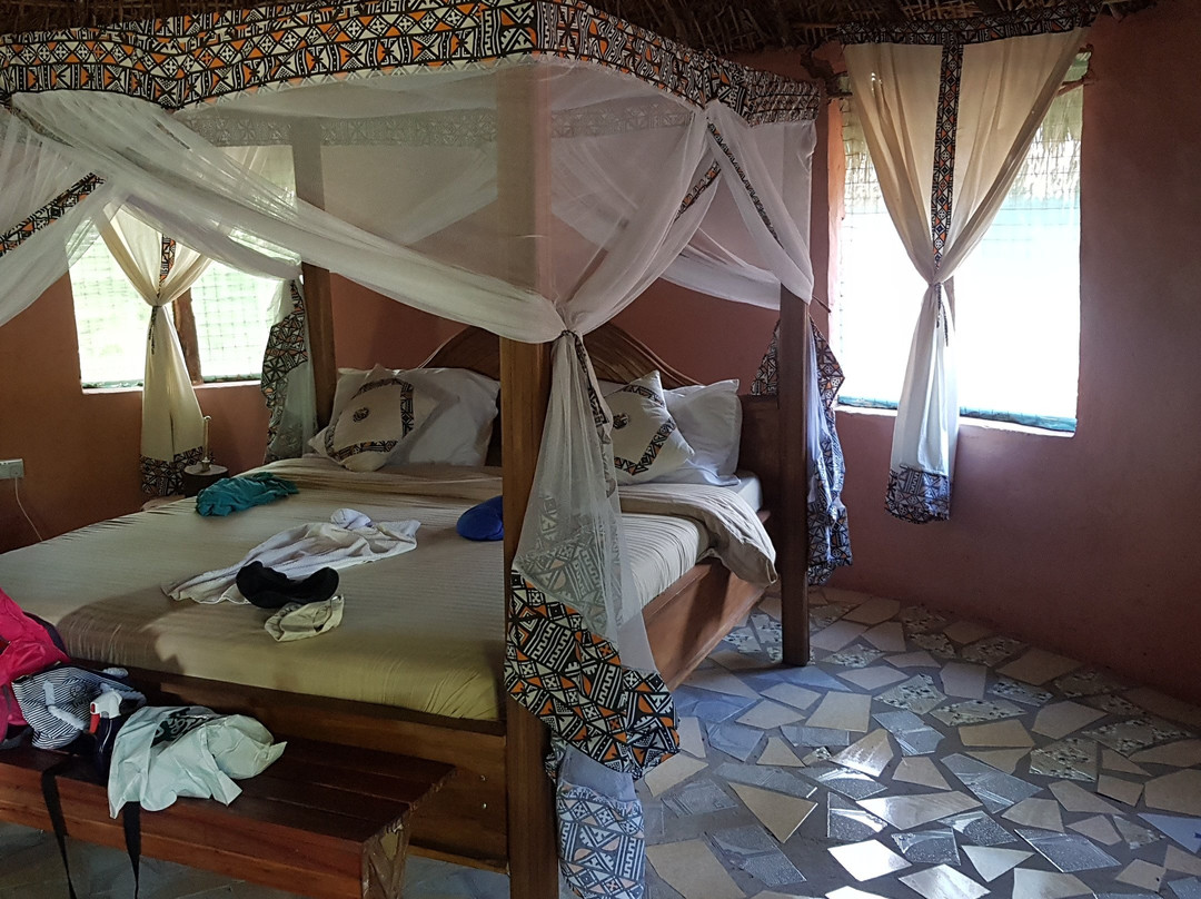 Africa Safari Camp