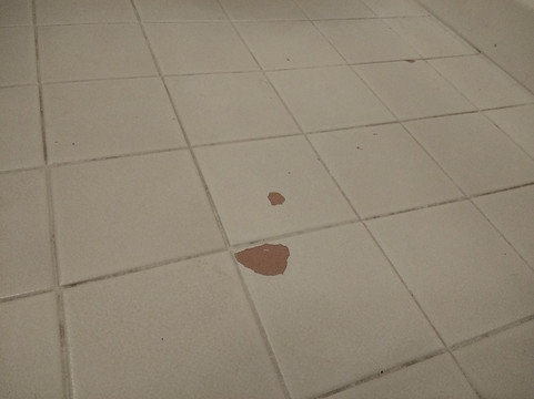 斯普林菲尔德亚伯拉罕林肯总统希尔顿逸林酒店主图