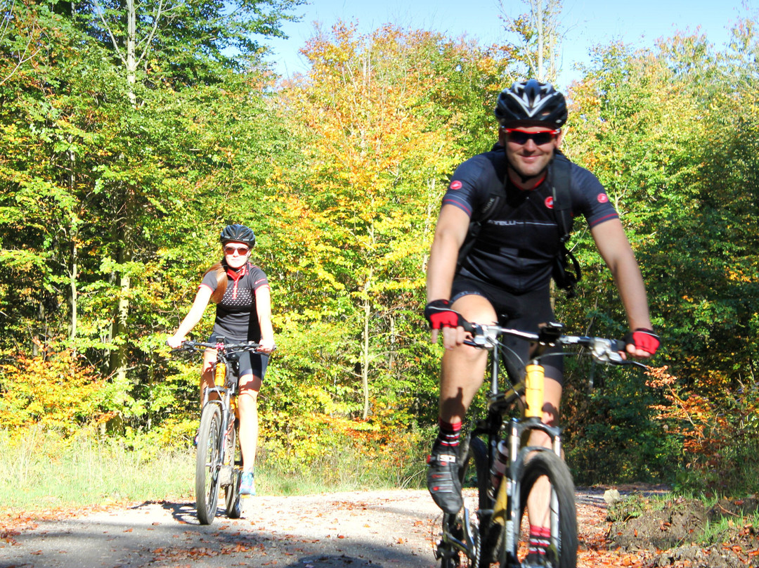 Deister Süntel MTB Verleih-Hulsede必去景点