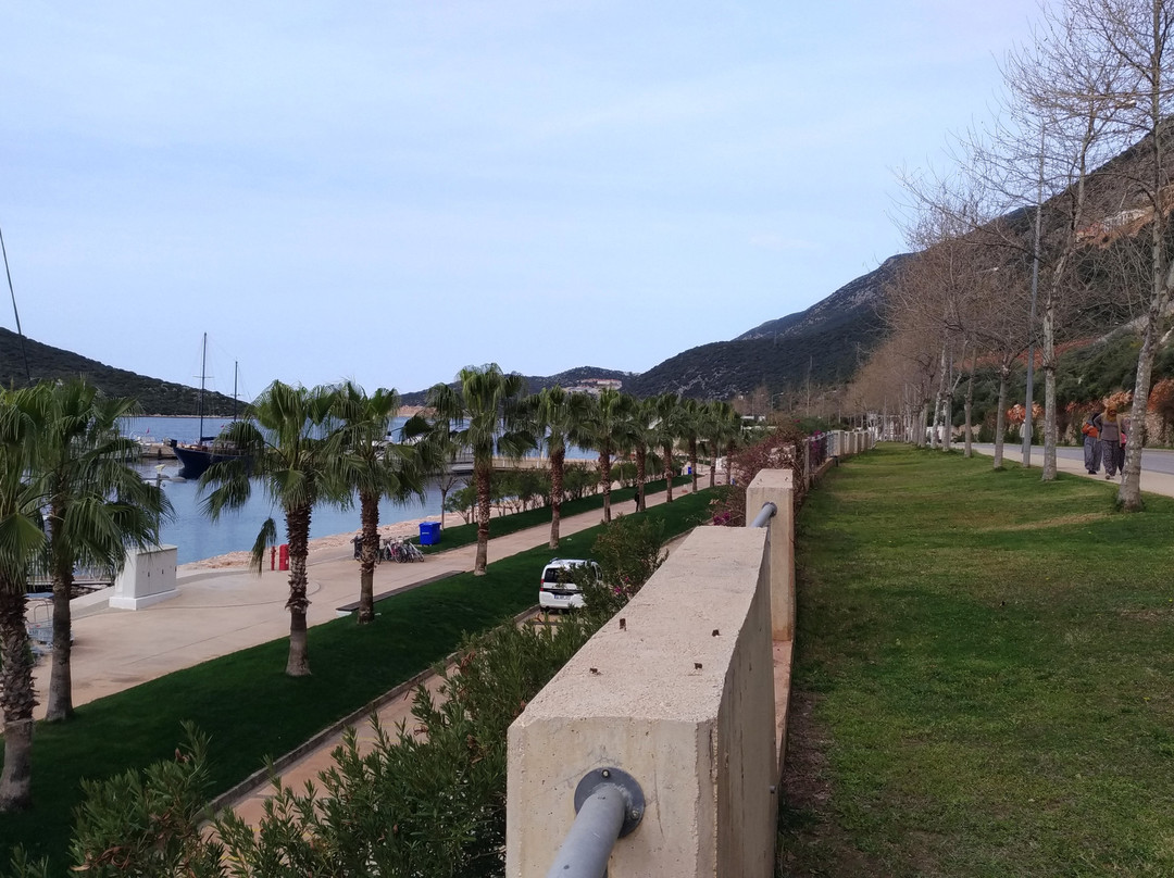 Kas Marina景点图片