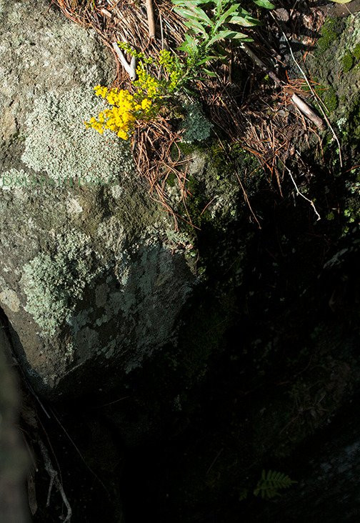 Catamount State Forest-Colrain必去景点