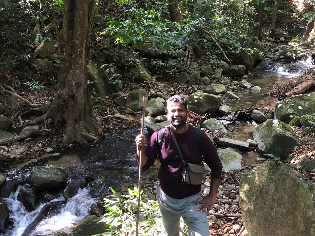 Elephant Shadow Travel & Tours (M) Sdn Bhd-吉隆坡必去景点