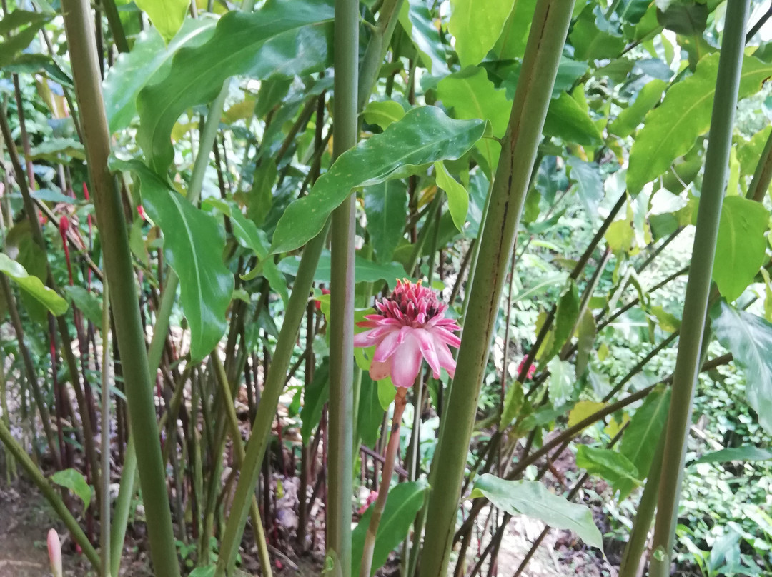 Le Jardin de Bonneville-La Trinite必去景点