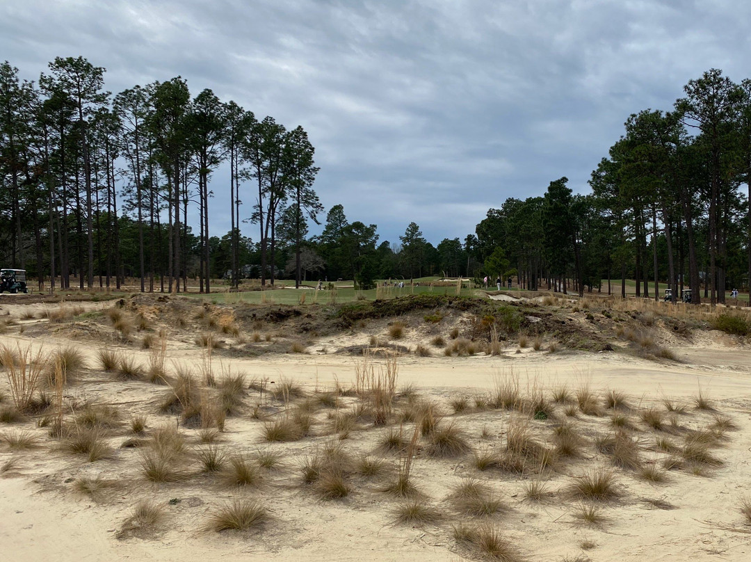 Pinehurst Course Number 4景点图片