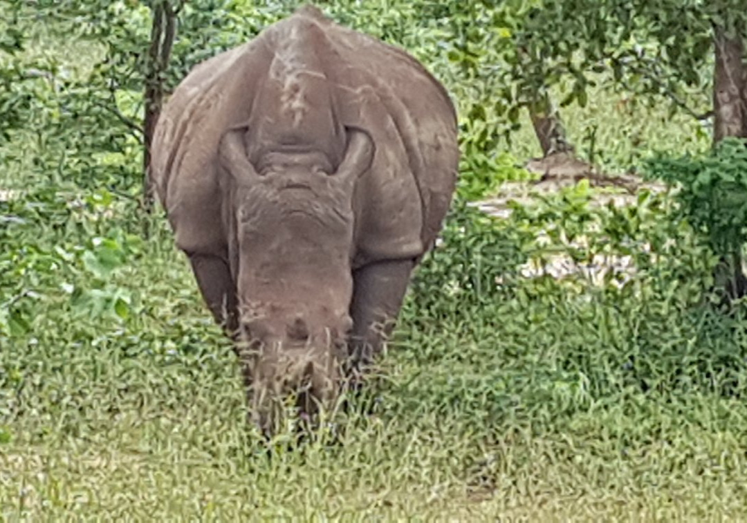Afrizim Rhino Walk - Mosi Oa Tunya Park-李文斯顿必去景点