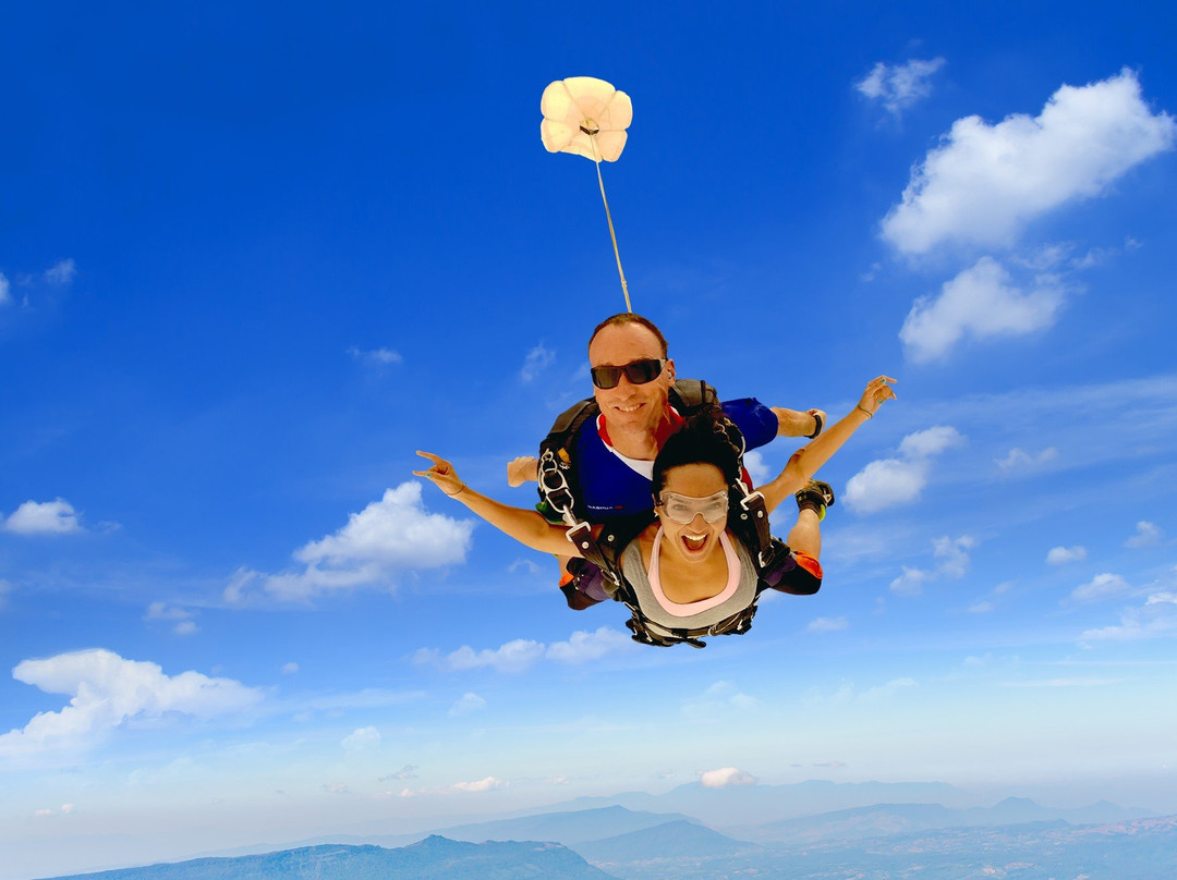 Skydive the Farm景点图片