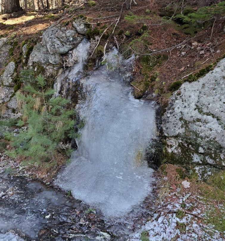 Bates-Morse Mountain Conservation Area景点图片