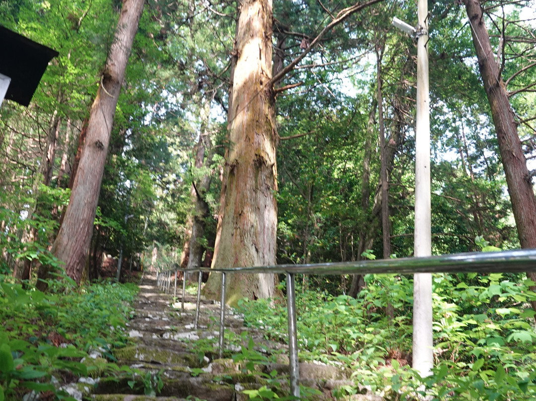 Gundari Shrine景点图片