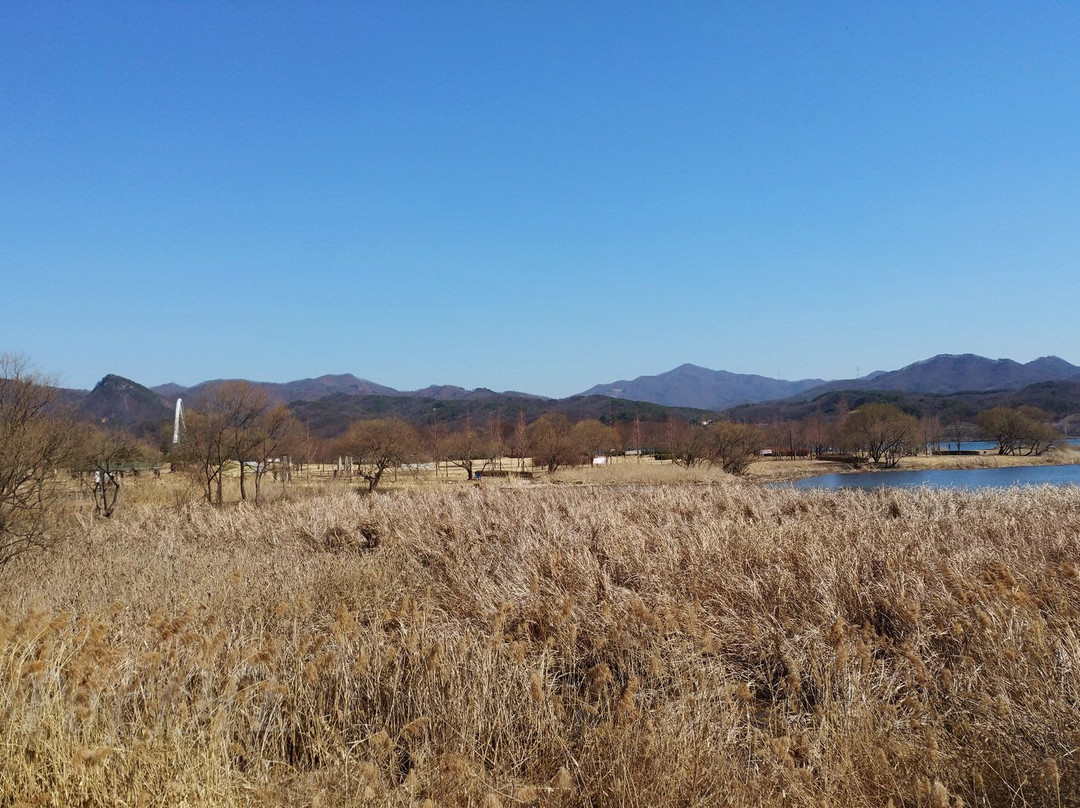 Water Garden-南杨州市必去景点