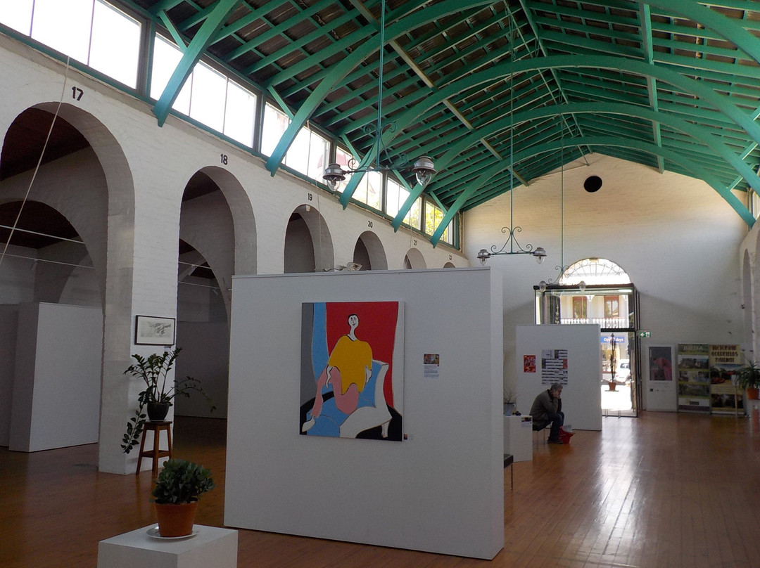 Castlemaine Historic Market Building景点图片