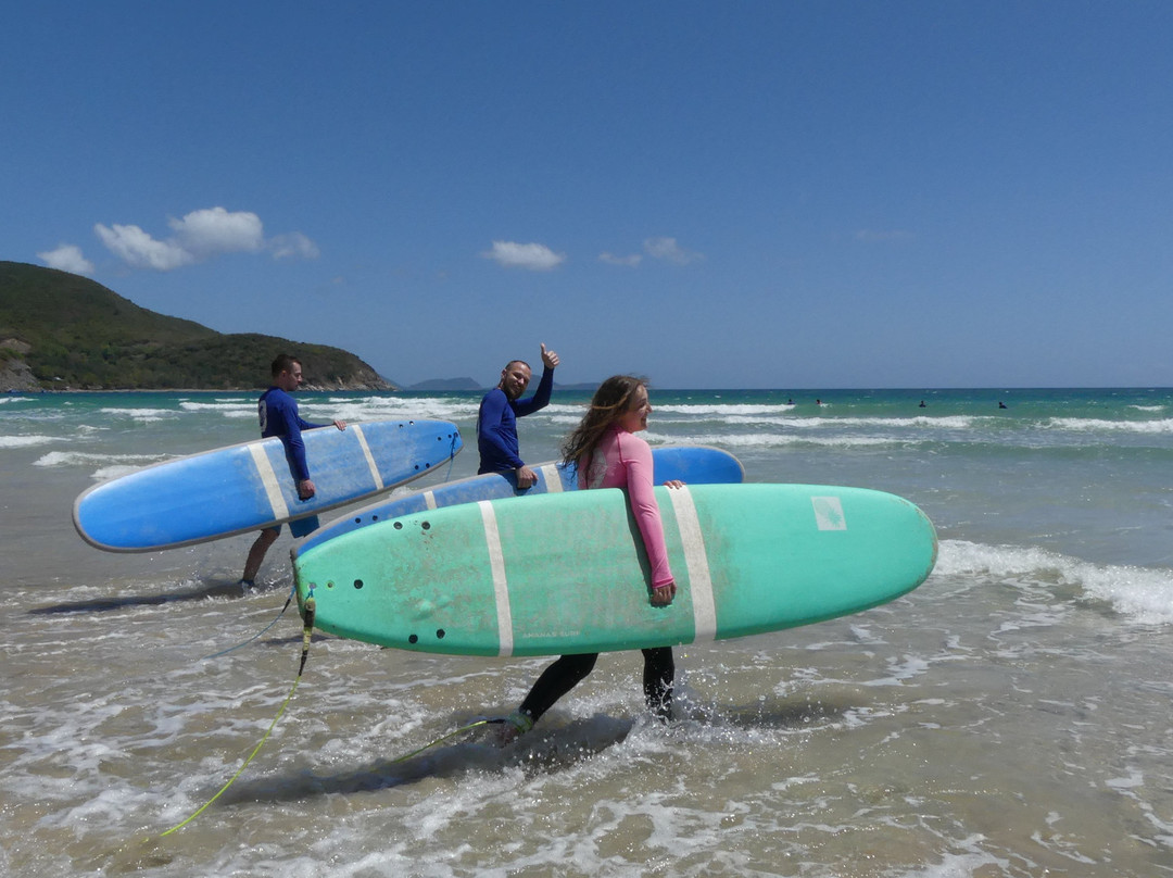 Single Fin Surf School-芽庄必去景点