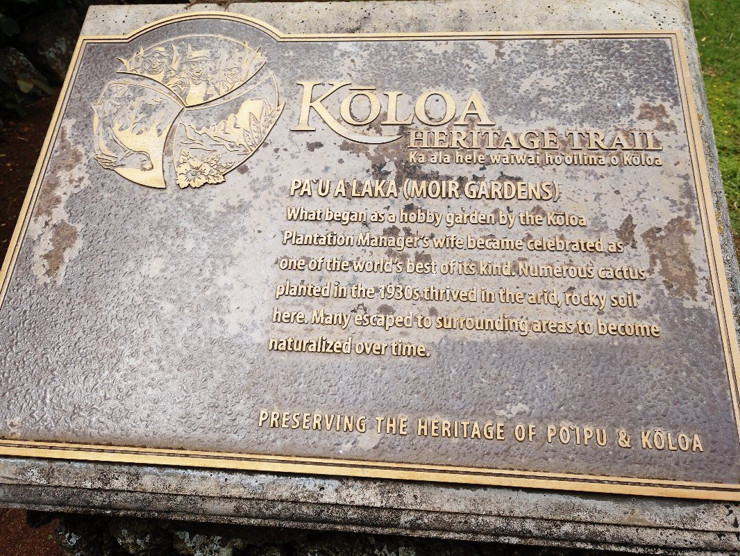 Moir Gardens-坡伊普必去景点