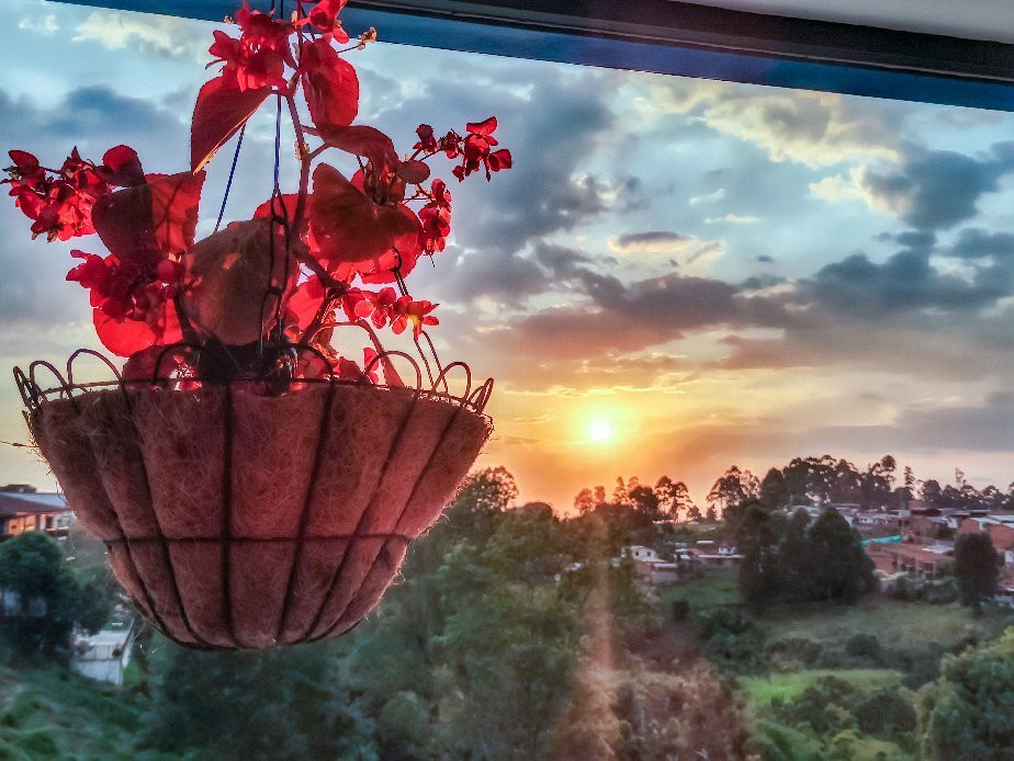 Hospedaje La Masia Salento主图