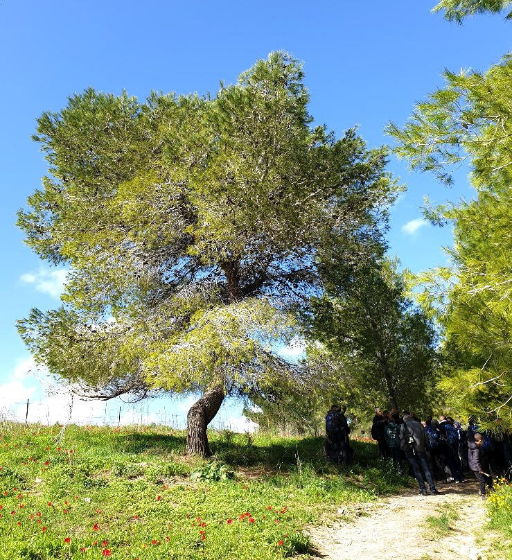 Giv'at HaRakafot-Ramot Menashe必去景点