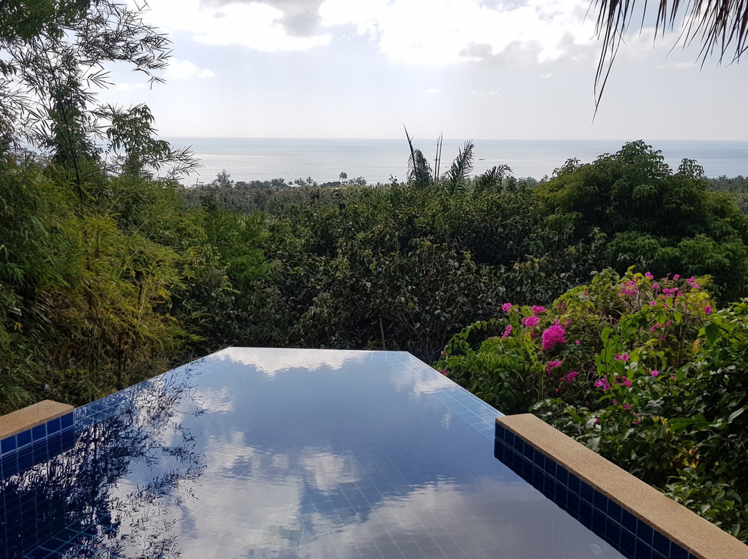 帕里斯奢华精品别墅主图