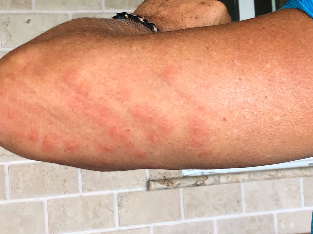 Orange Hill Beach Inn主图