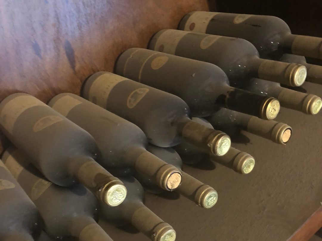 Tishbi Estate Winery-Binyamina必去景点