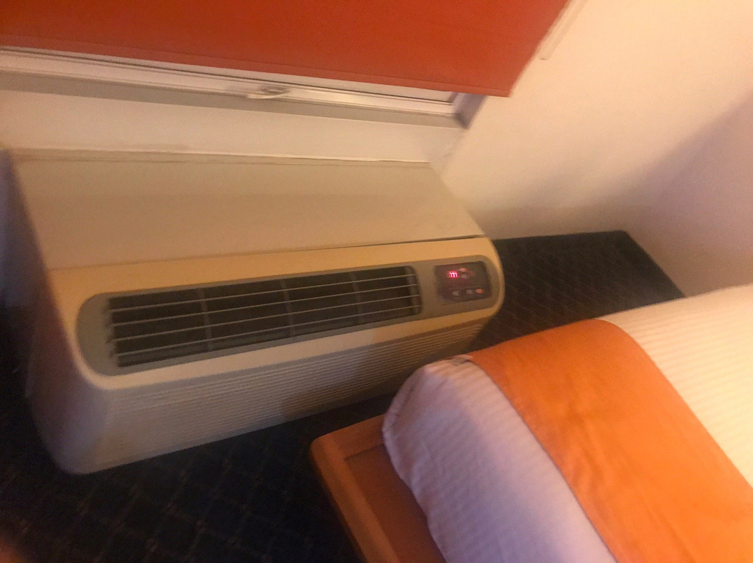 Hotel Greenwood Torreon主图