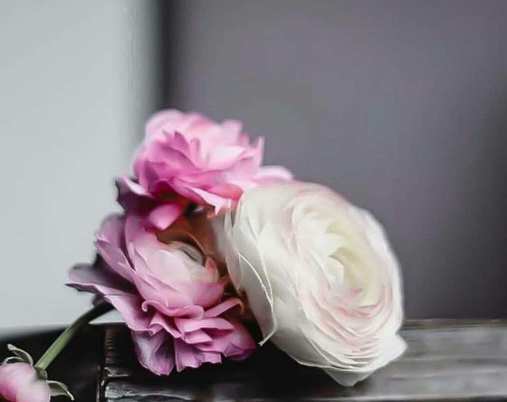 Dera Ghazi Khan旅游攻略图片