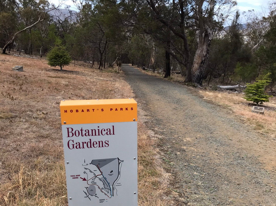 Queens Domain-霍巴特必去景点